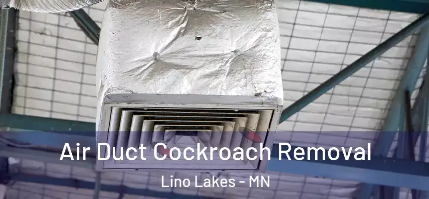 Air Duct Cockroach Removal Lino Lakes - MN