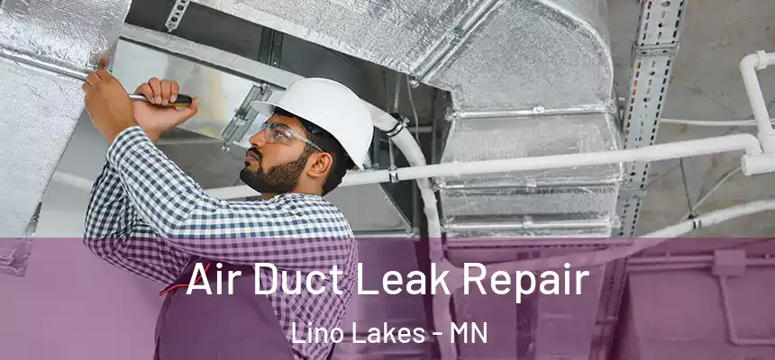 Air Duct Leak Repair Lino Lakes - MN