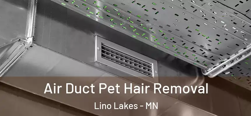 Air Duct Pet Hair Removal Lino Lakes - MN