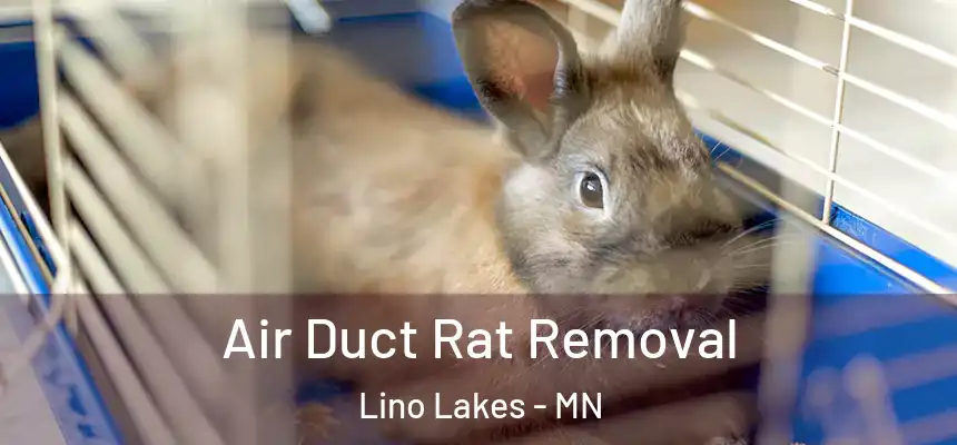 Air Duct Rat Removal Lino Lakes - MN