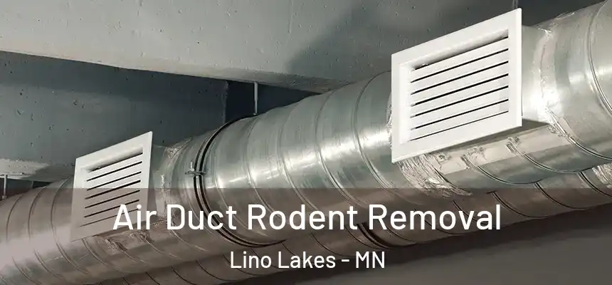  Air Duct Rodent Removal Lino Lakes - MN