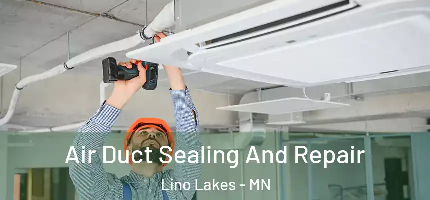 Air Duct Sealing And Repair Lino Lakes - MN
