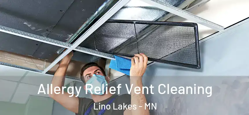 Allergy Relief Vent Cleaning Lino Lakes - MN