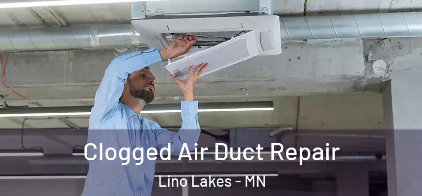  Clogged Air Duct Repair Lino Lakes - MN