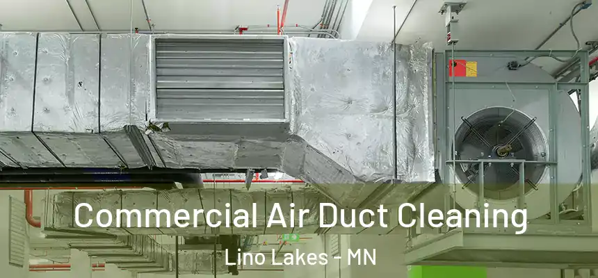 Commercial Air Duct Cleaning Lino Lakes - MN