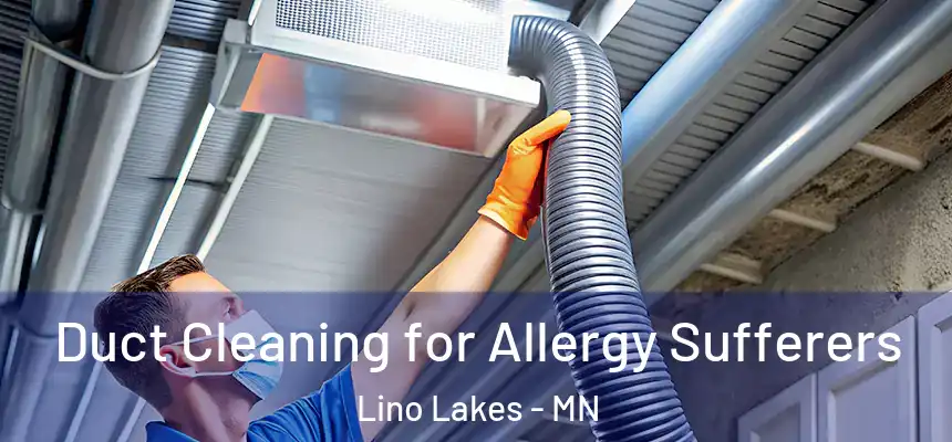 Duct Cleaning for Allergy Sufferers Lino Lakes - MN
