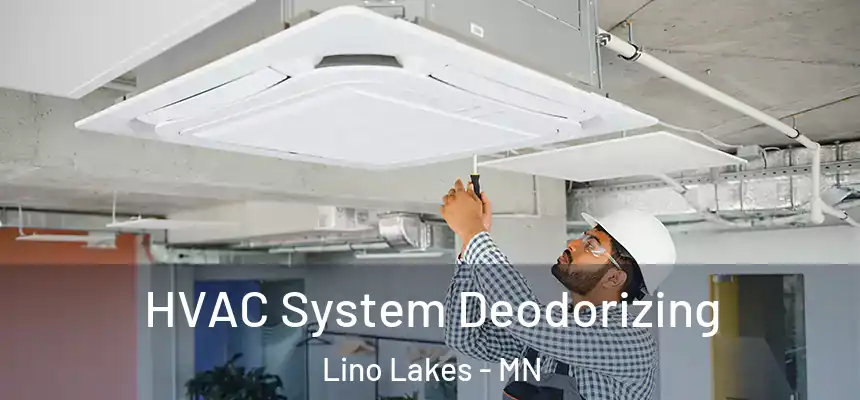  HVAC System Deodorizing Lino Lakes - MN