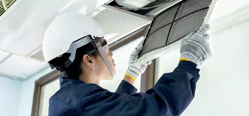 Our Mold & Mildew Removal from Air Ducts Services in Lino Lakes, MN