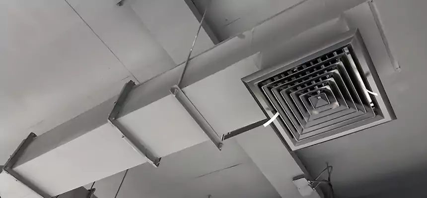 Our Rodent Droppings In Vents Services in Lino Lakes, MN