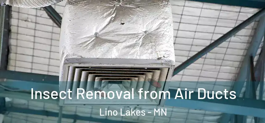 Insect Removal from Air Ducts Lino Lakes - MN
