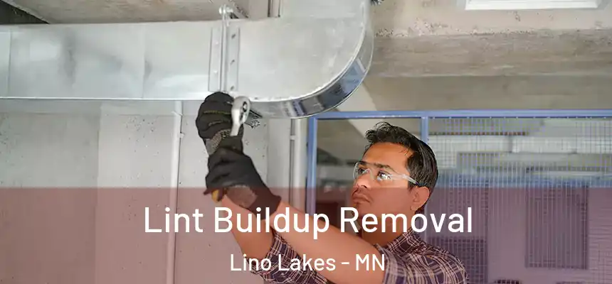  Lint Buildup Removal Lino Lakes - MN