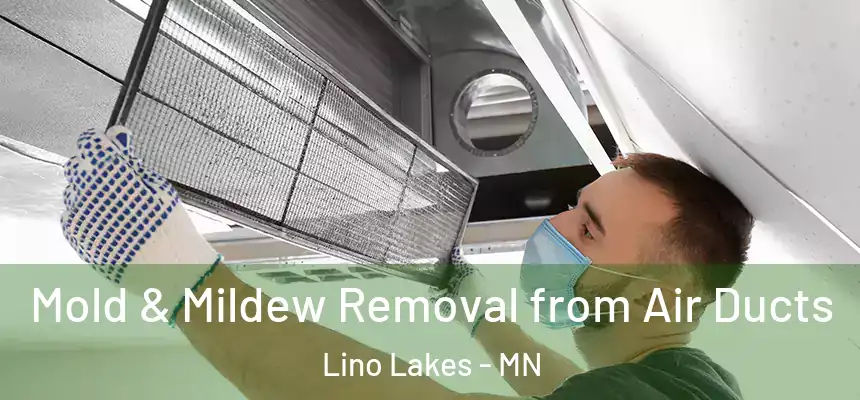  Mold & Mildew Removal from Air Ducts Lino Lakes - MN