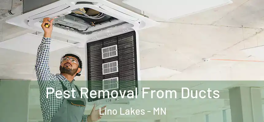 Pest Removal From Ducts Lino Lakes - MN