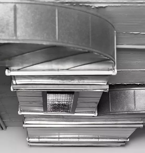 Professional Air Duct Pest Removal in Lino Lakes, MN