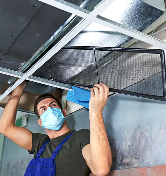 Professional Air Duct Pollen Cleaning in Lino Lakes, MN