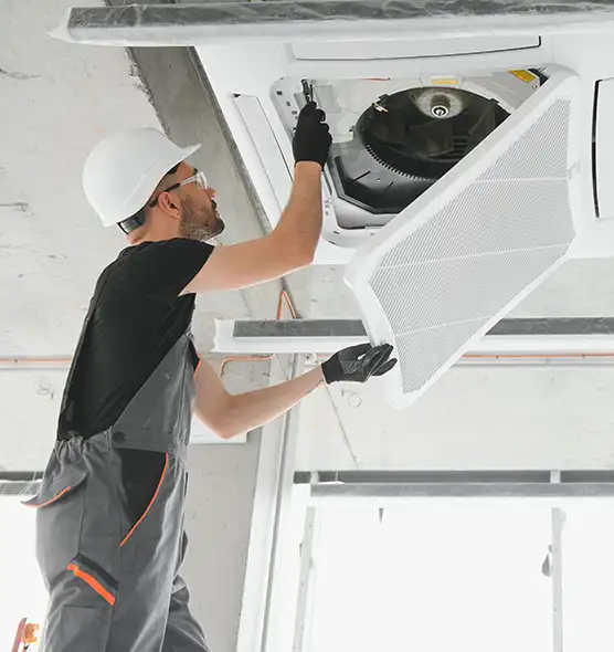 About Air Duct Rodent Removal in Lino Lakes, MN