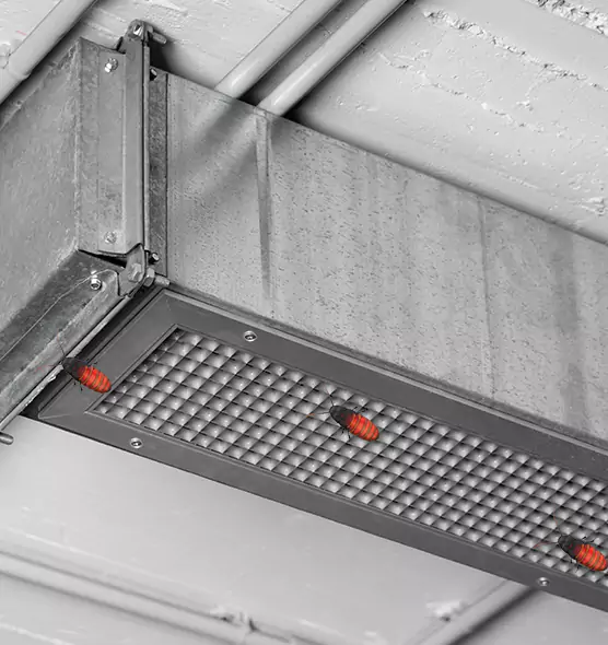 Affordable Insect Removal from Air Ducts in Lino Lakes, MN