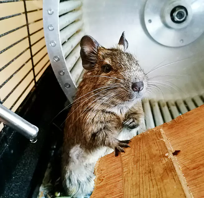 Why Homeowners & Businesses Trust Us Lino Lakes, MN